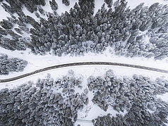 Bird eye’s view!, by Kimon Maritz
